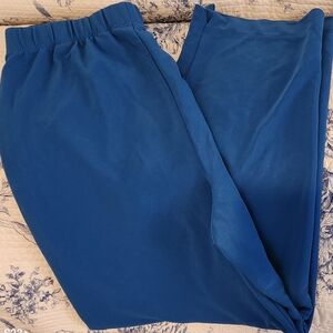 Susan Graver Men's Blue Pants